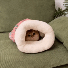 Saco de Dormir para Gatos