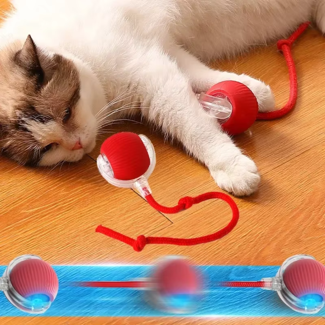 Bola Interativa Automática para Pets