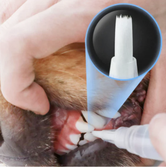 Removedor de Tártaro para Pets