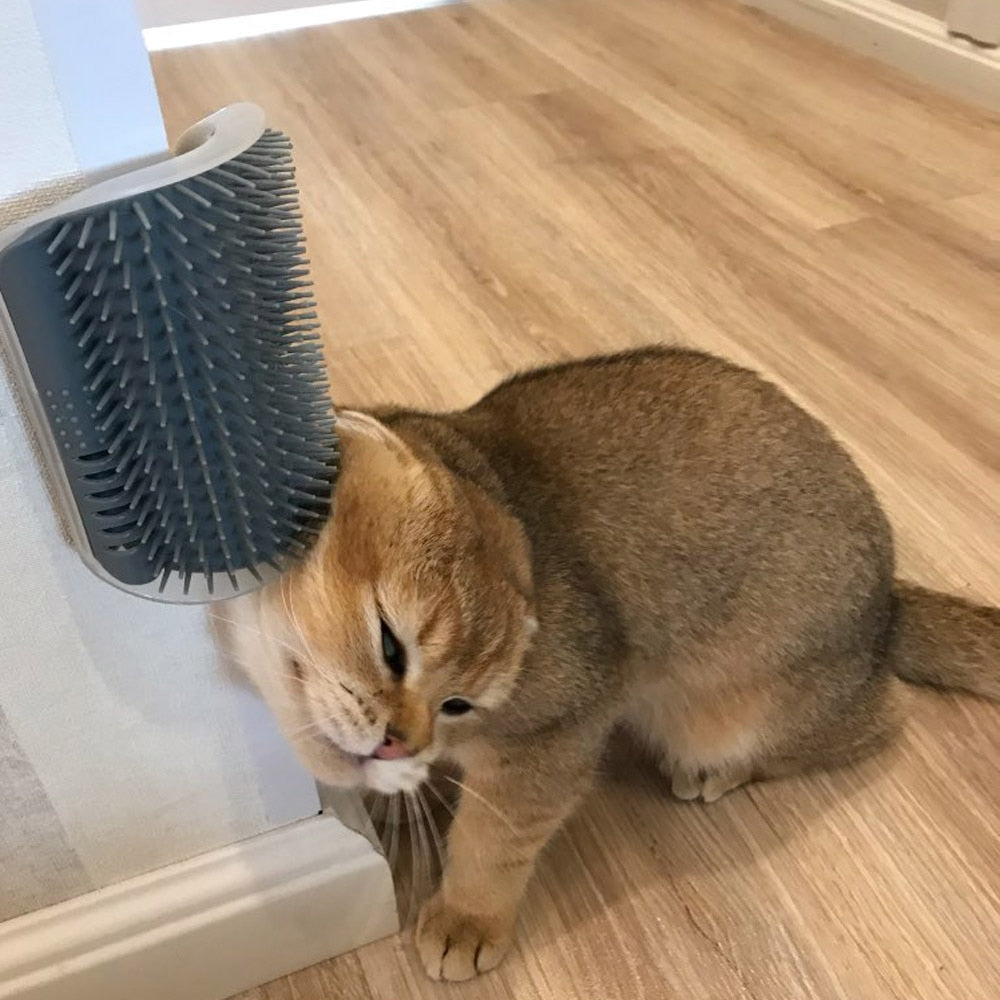 Massageador de Canto para Gatos
