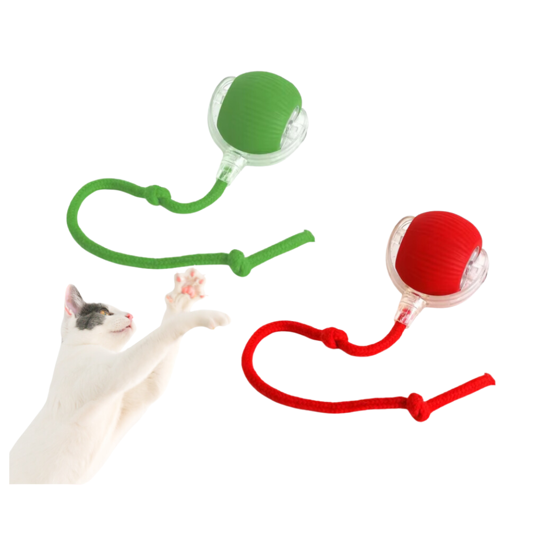 Bola Interativa Automática para Pets